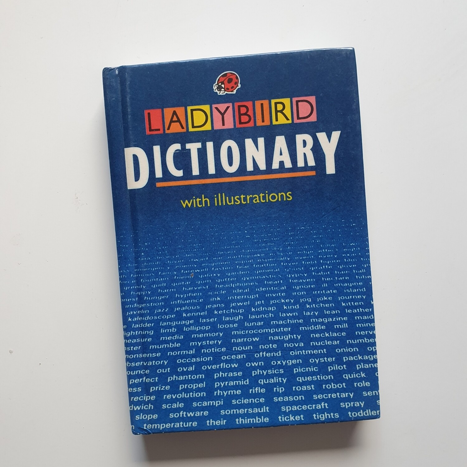 Ladybird Pocket Dictionary - teacher