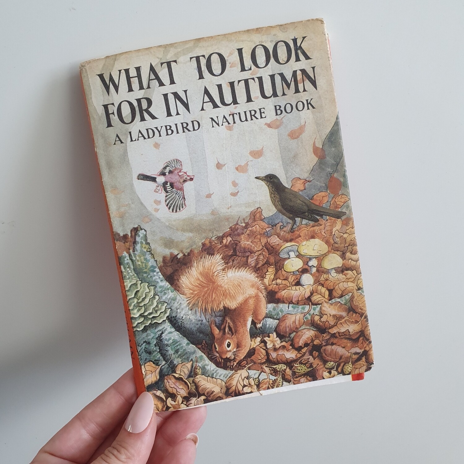 What to look for in Autumn - Ladybird Book