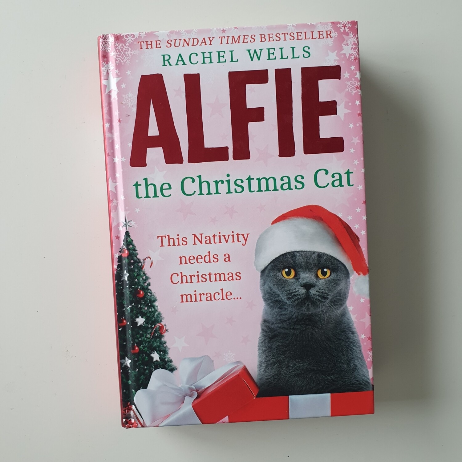 Alfie the Christmas Cat