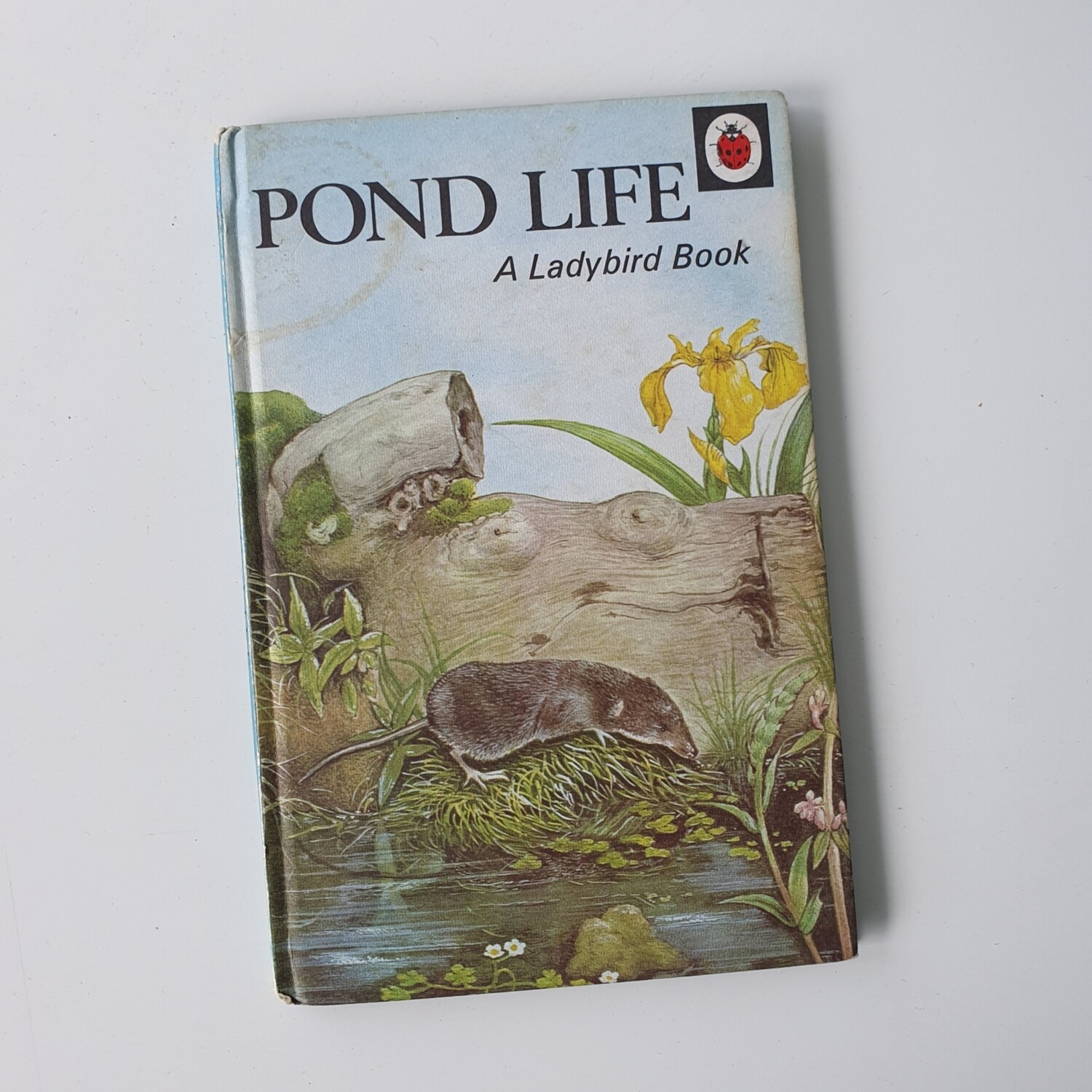 Pond Life Notebook - Ladybird book