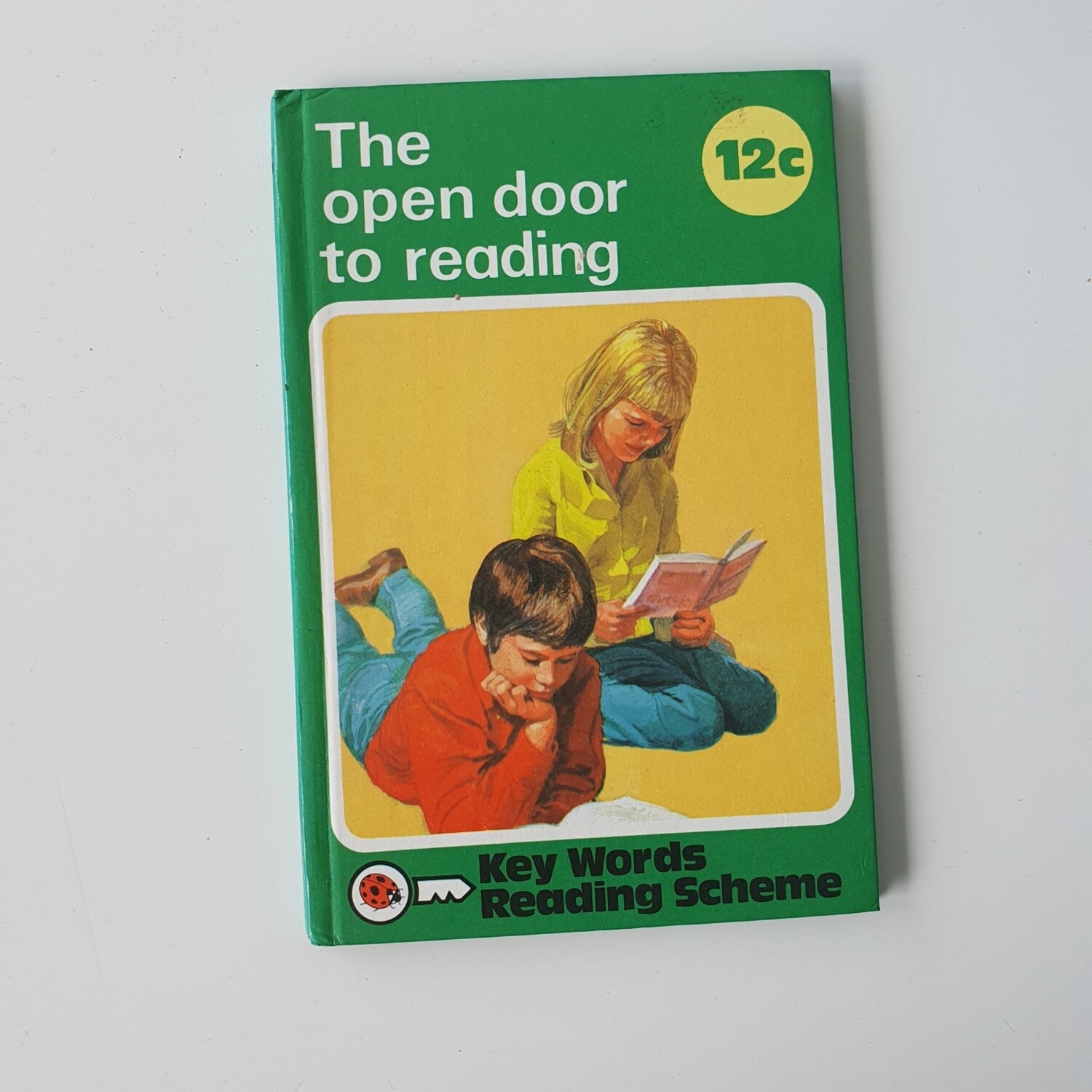 The Open Door to Reading Notebook - Ladybird book