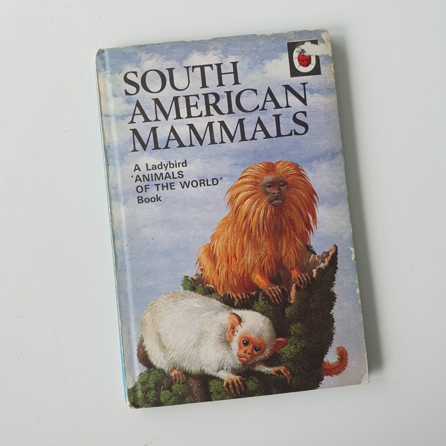 South American Mammals Notebook - Ladybird book , Marmoset