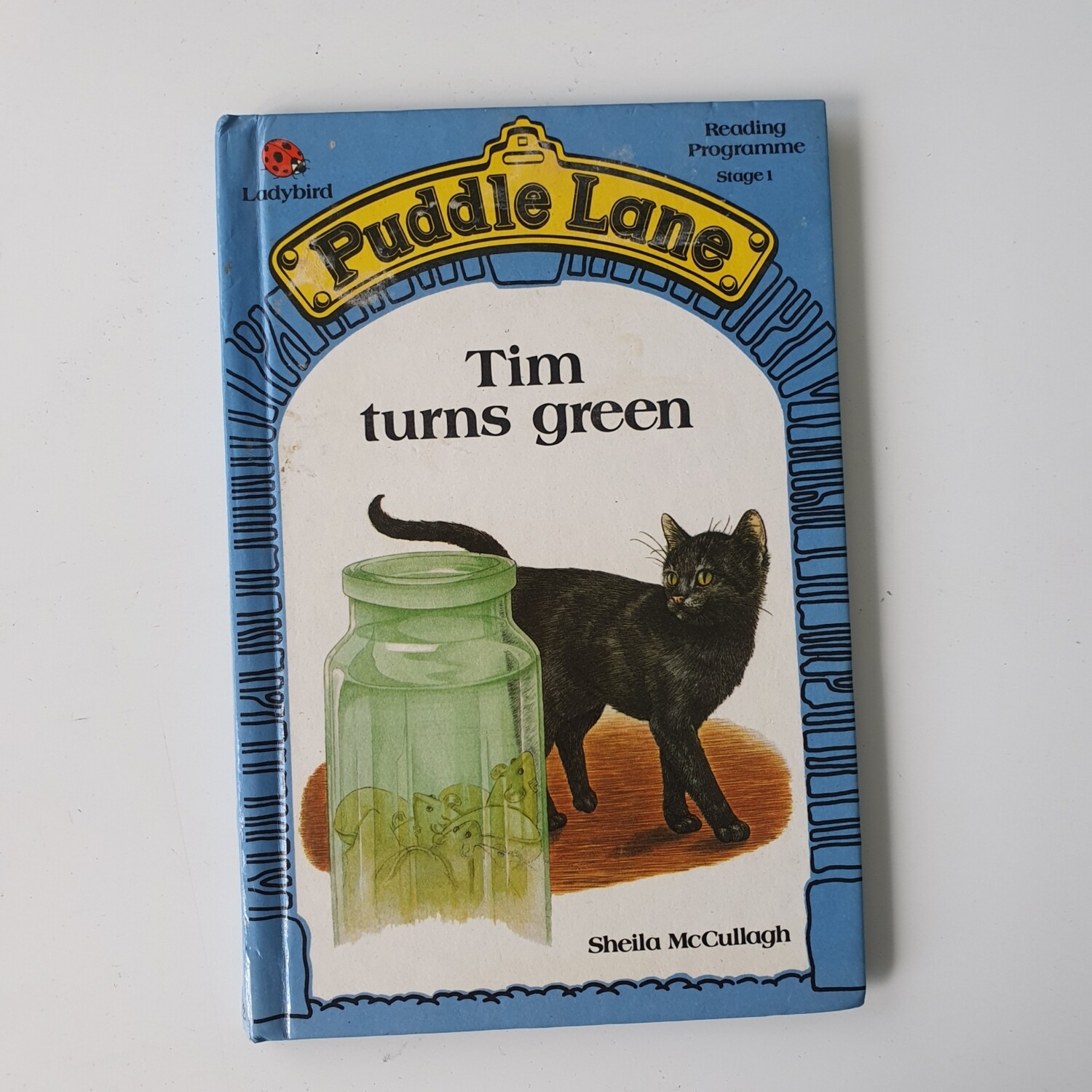 Tim turns green - black cat, Puddle Lane Notebook - Ladybird book