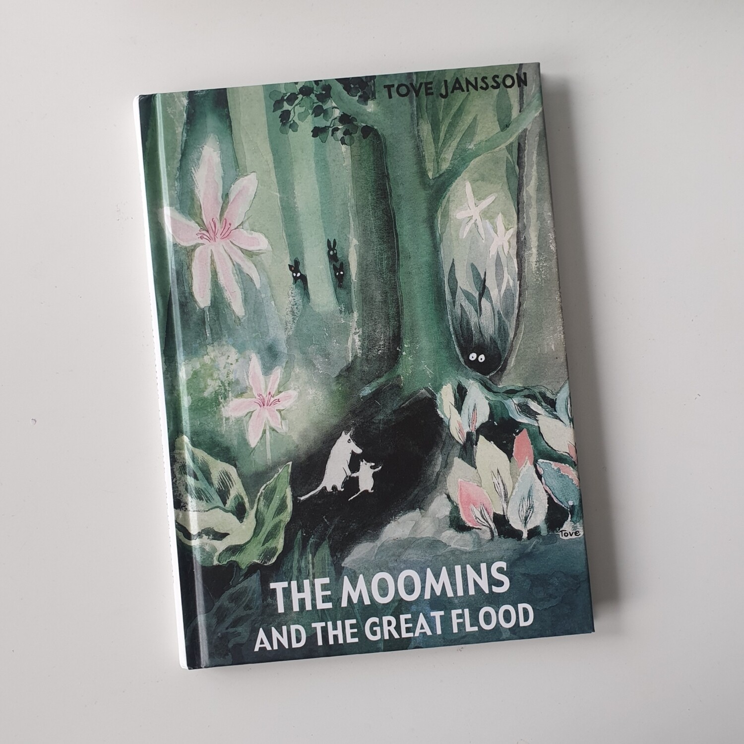 The Moomins Notebook