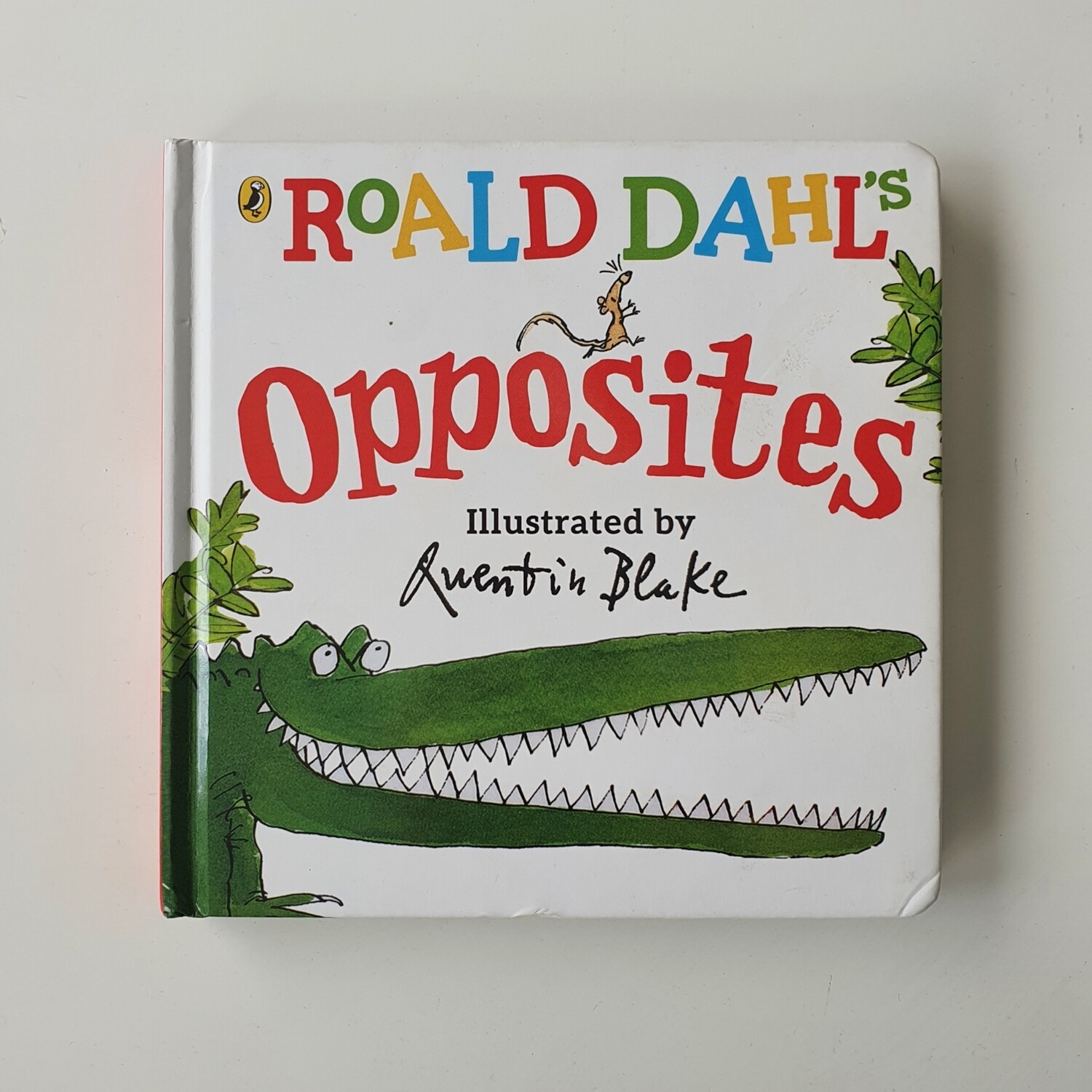 Roald Dahls Opposites Enormous Crocodile