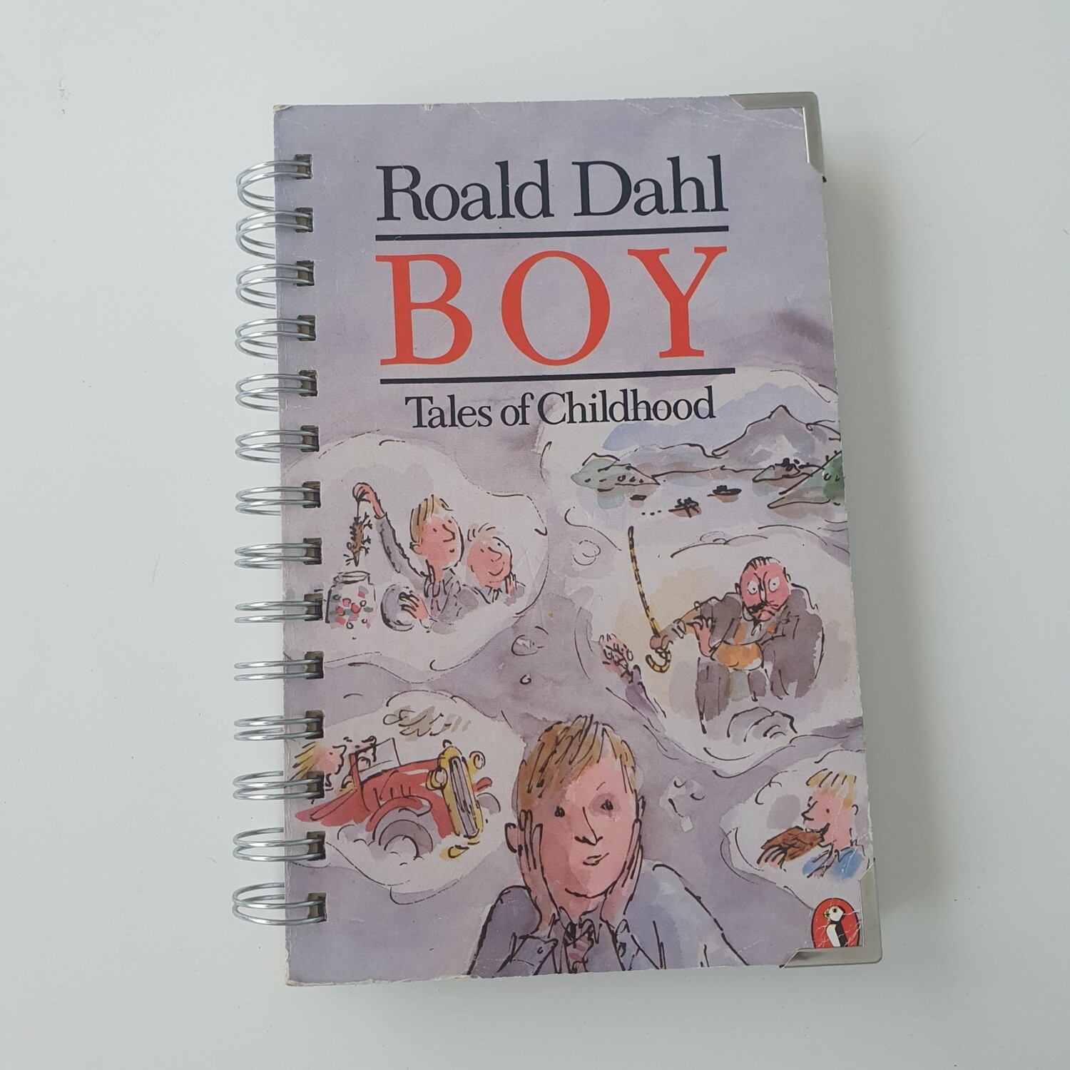 Roald Dahl 'Boy' plain  paper Notebook - made from a paperback book, READY TO SHIP