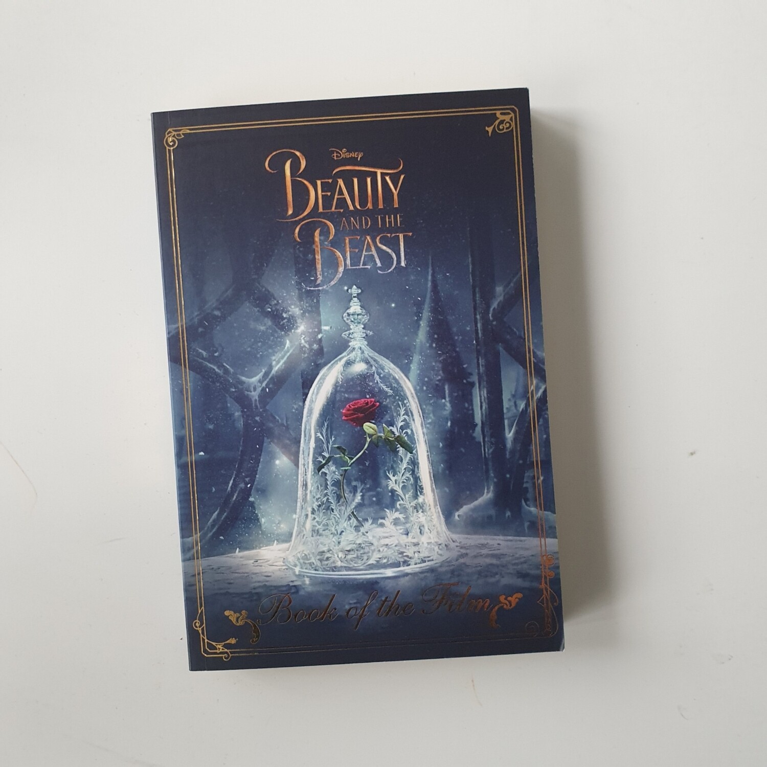 Beauty and the Beast Notebook - made from a paperback book