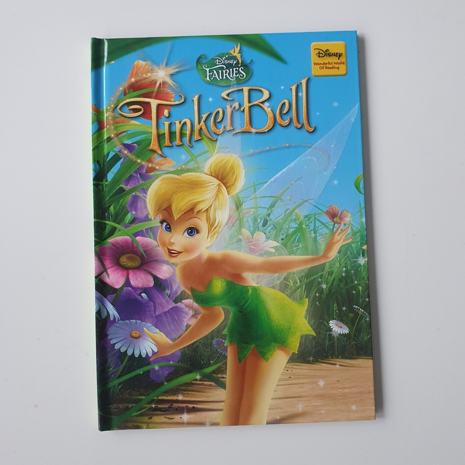 Tinkerbell Notebook