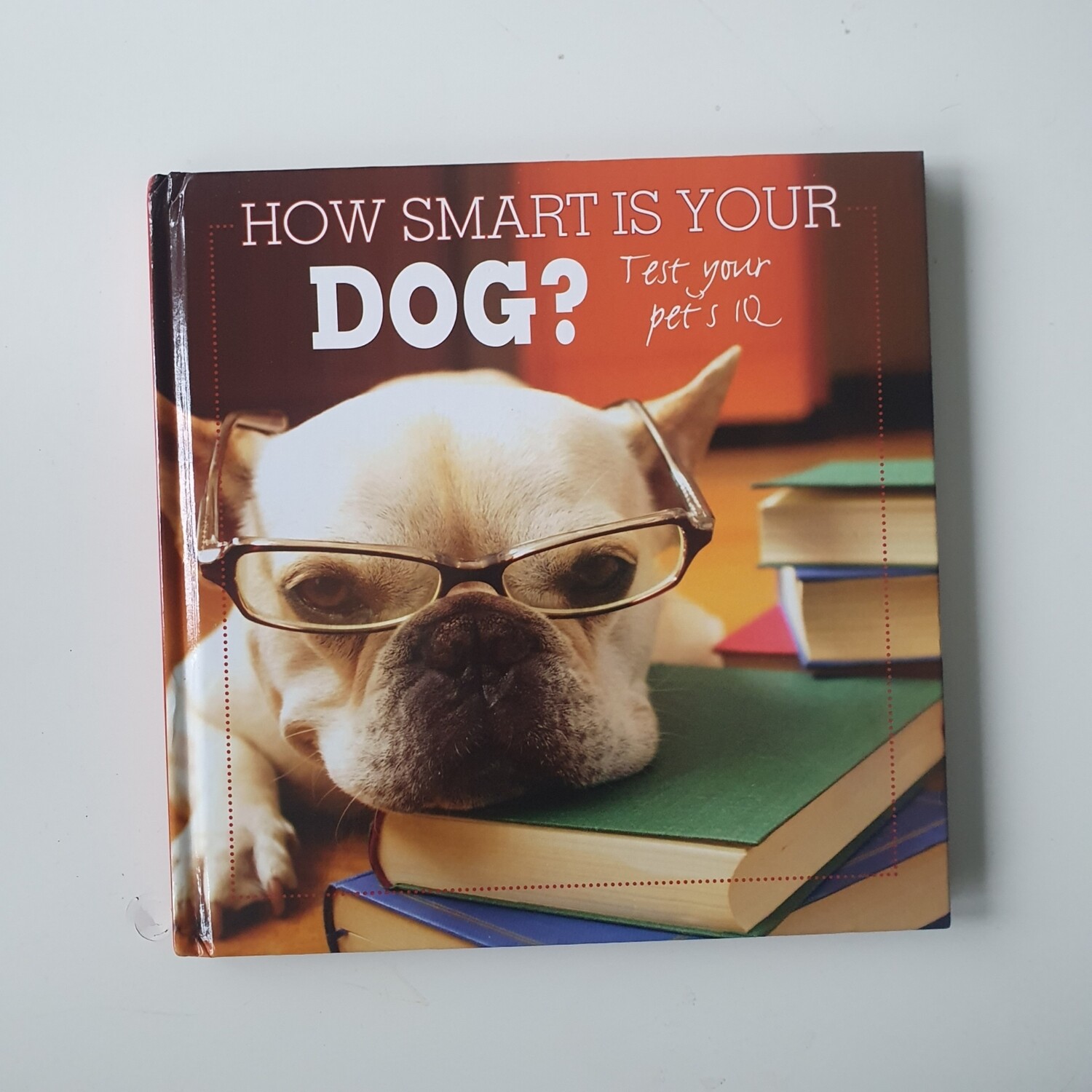 How Smart is Your Dog? French Bulldog