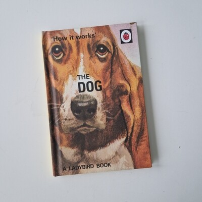 The Dog- ladybird book