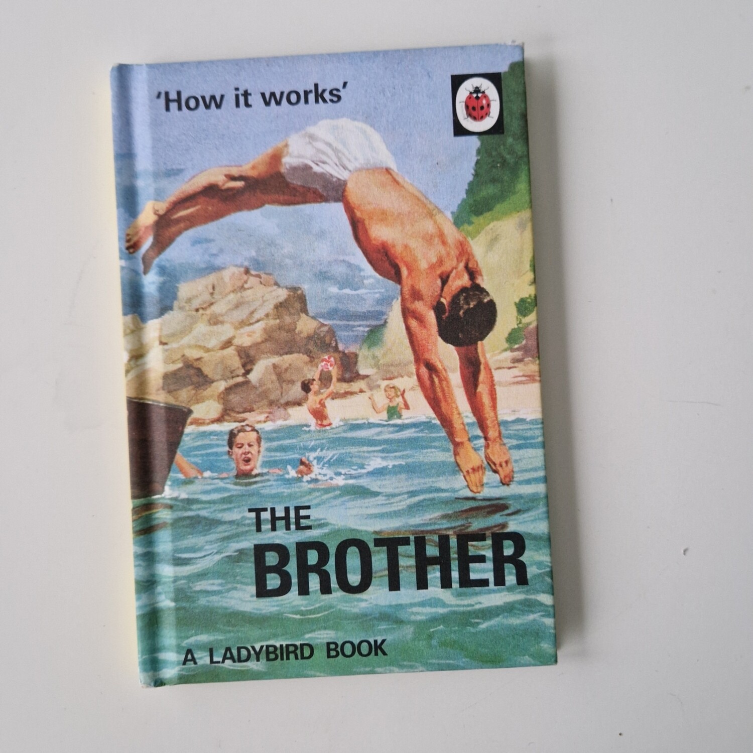 The Brother - ladybird book