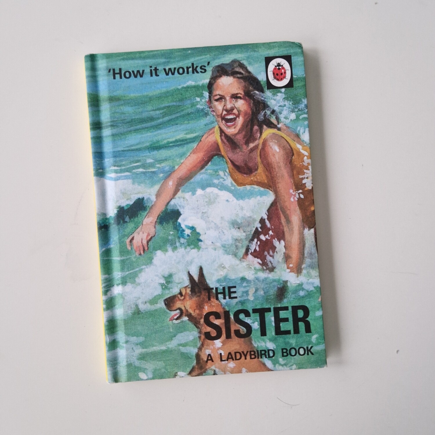 The Sister - ladybird book