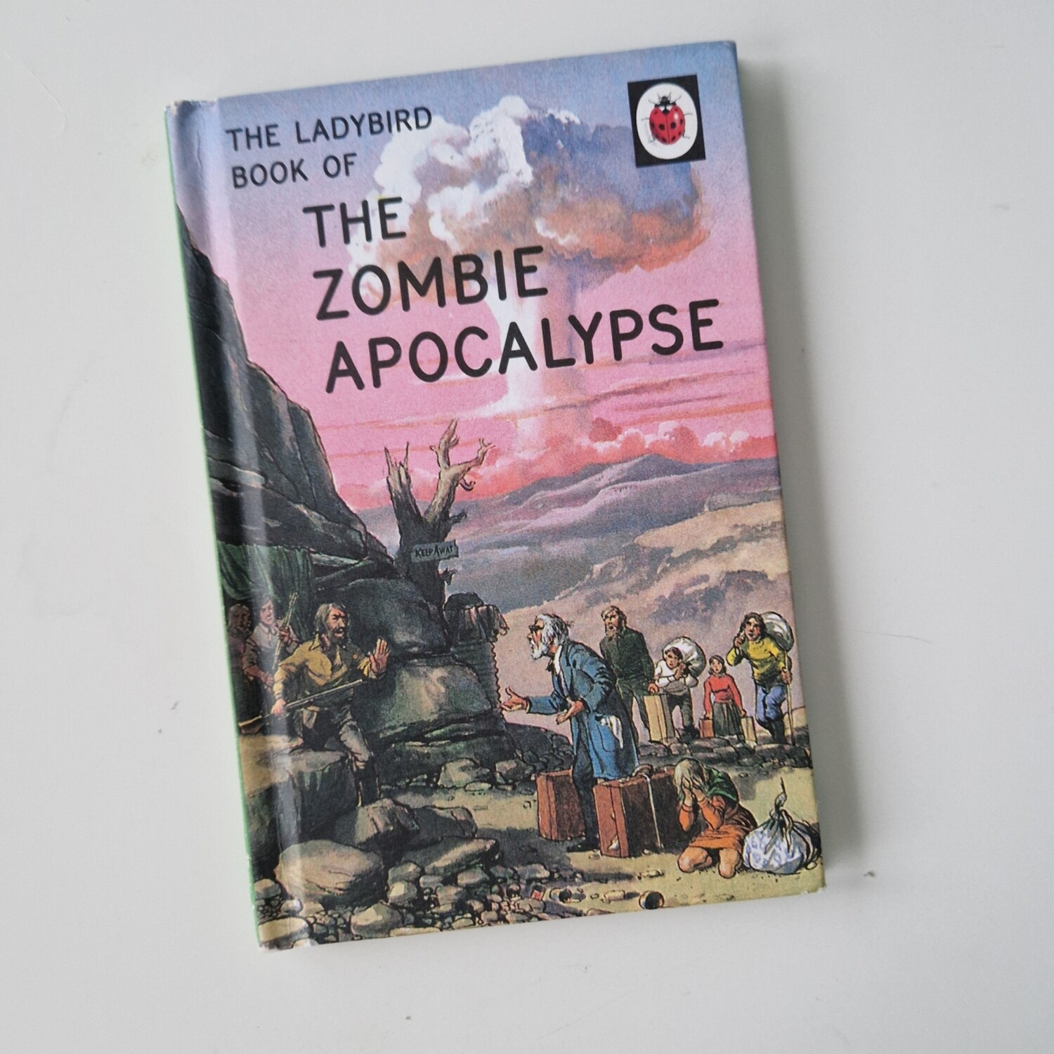 The Zombie Apocalypse - ladybird book