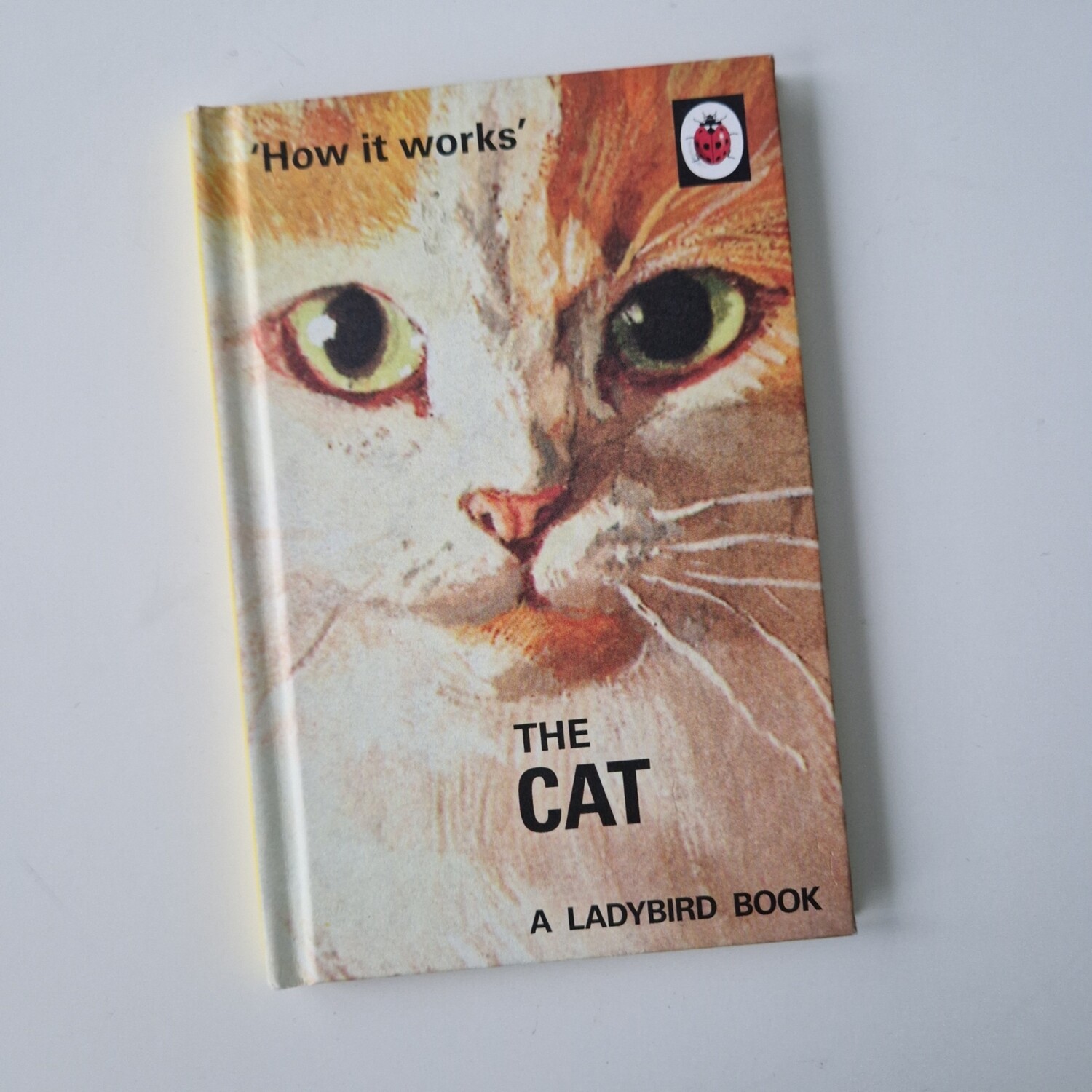 The Cat- ladybird book