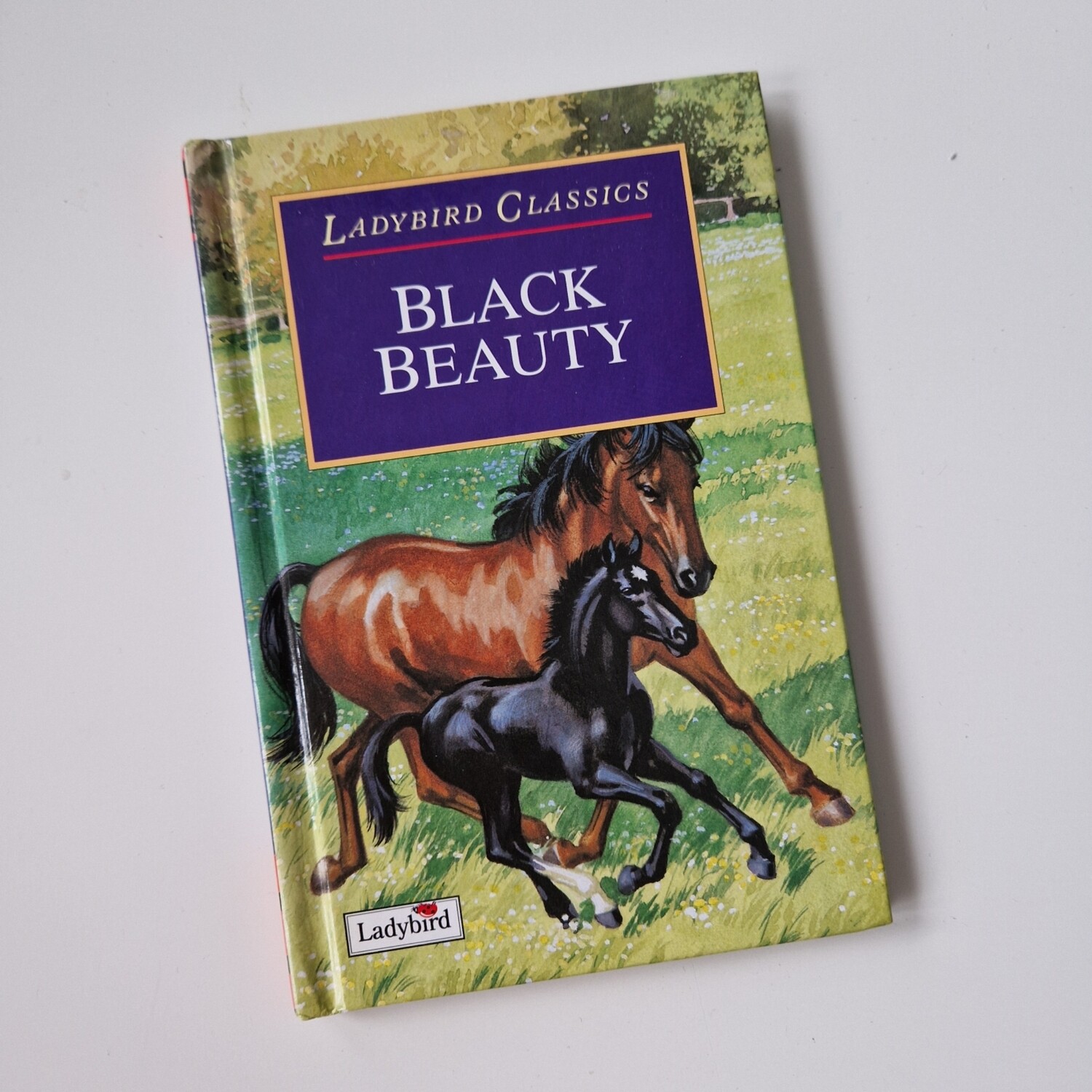 Black Beauty Notebook