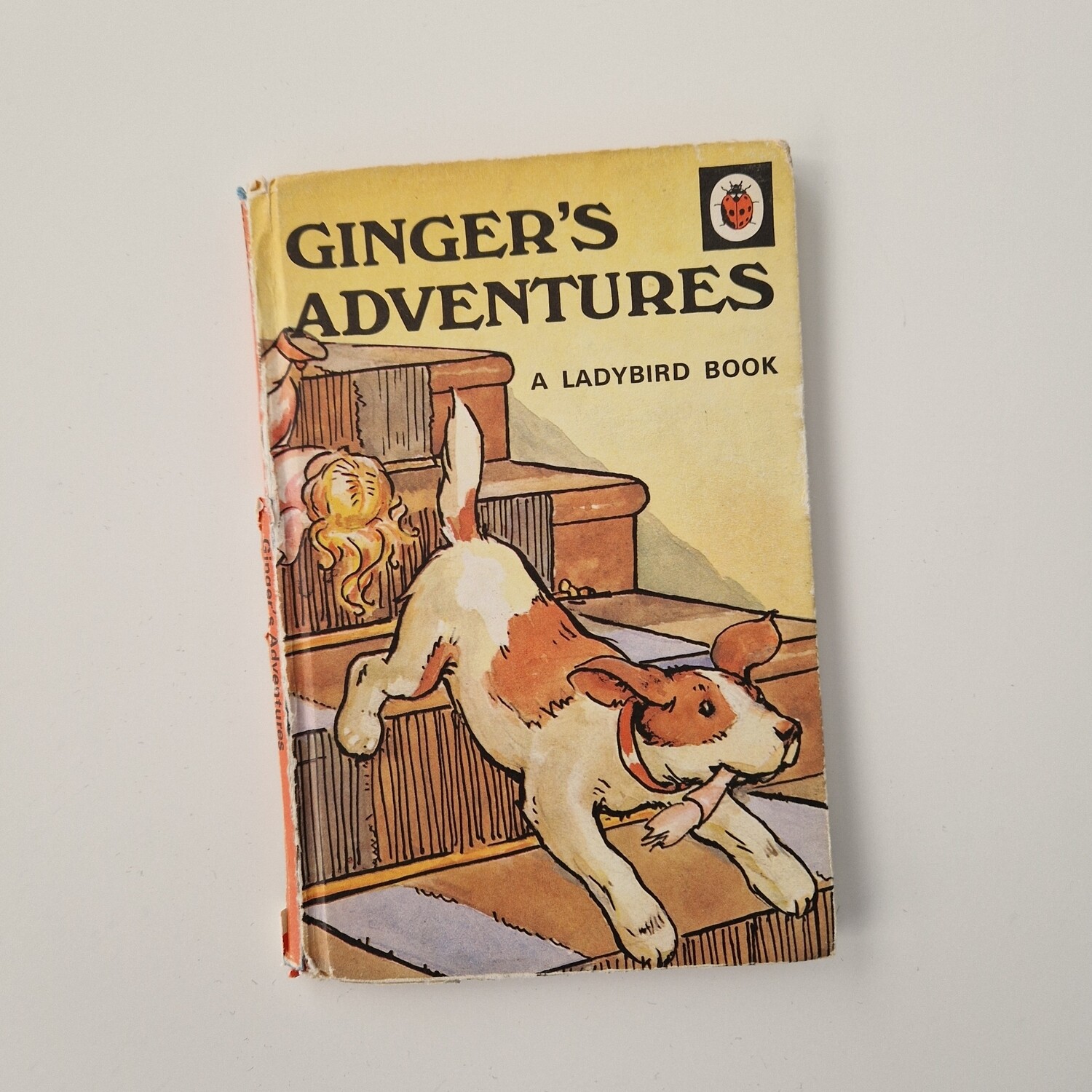 Ginger's Adventures 1970s Notebook - Ladybird book