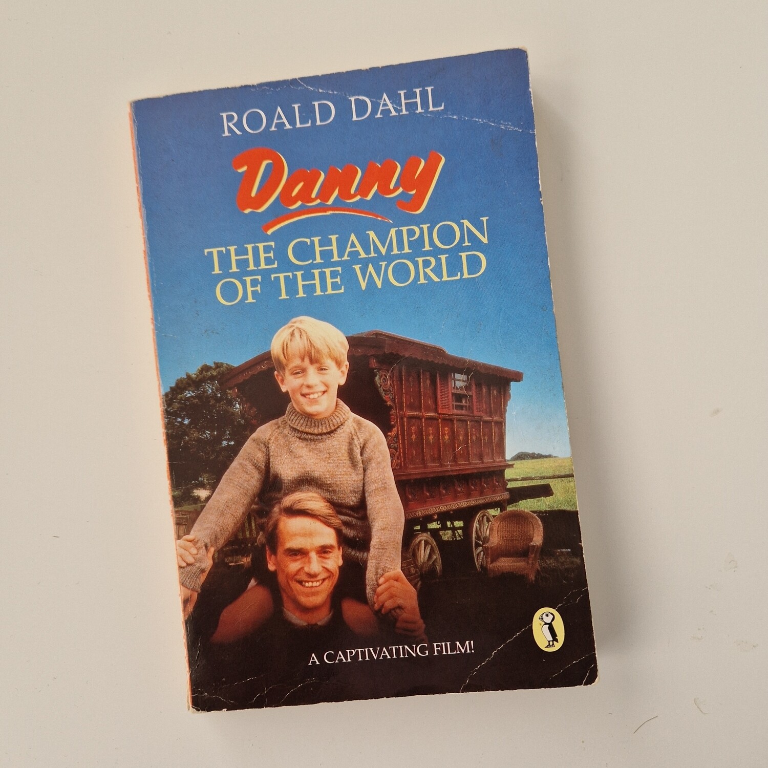 Roald Dahl Danny the Champion of the World Notebook- made from a paperback book