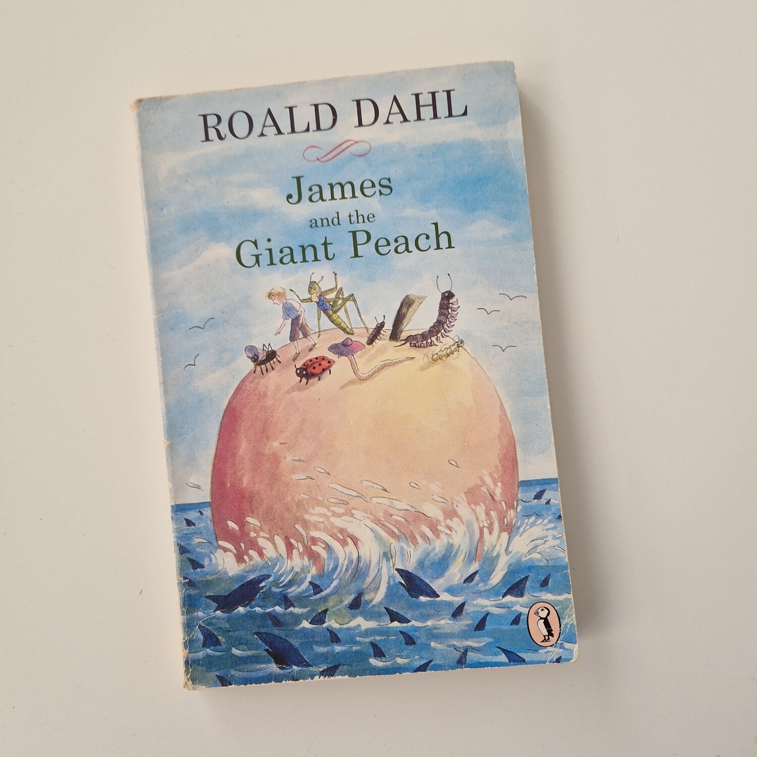 Roald Dahl James and the Giant Peach Notebook- made from a paperback book