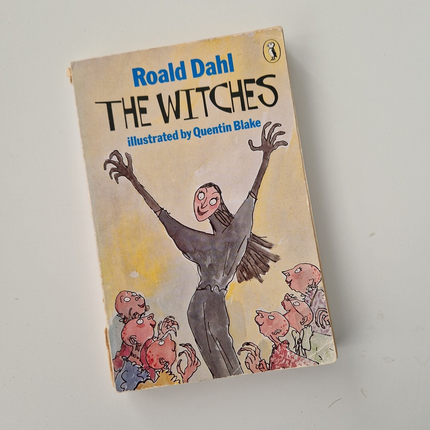 Roald Dahl The Witches Notebook- made from a paperback book