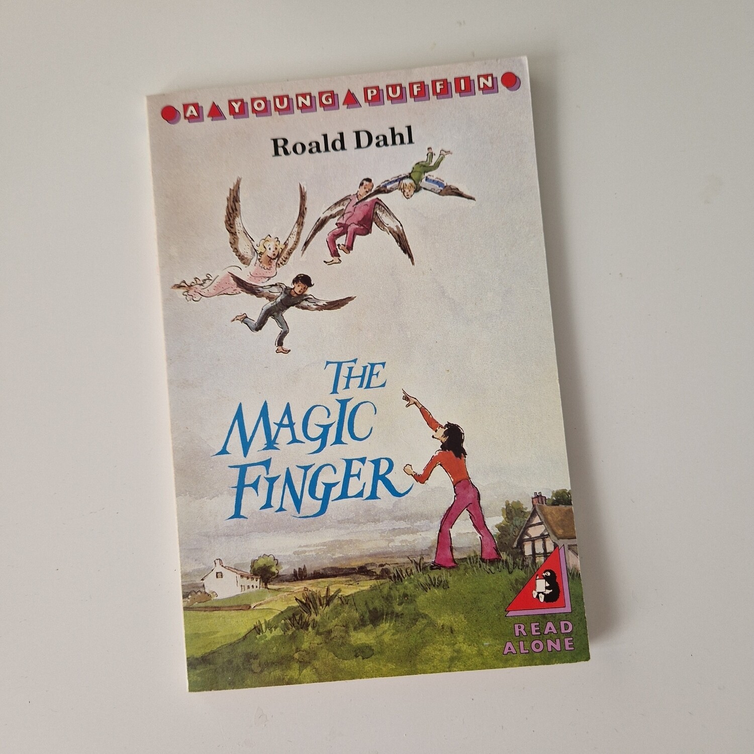 The Magic Finger Roald Dahl Notebook - made from a paperback book