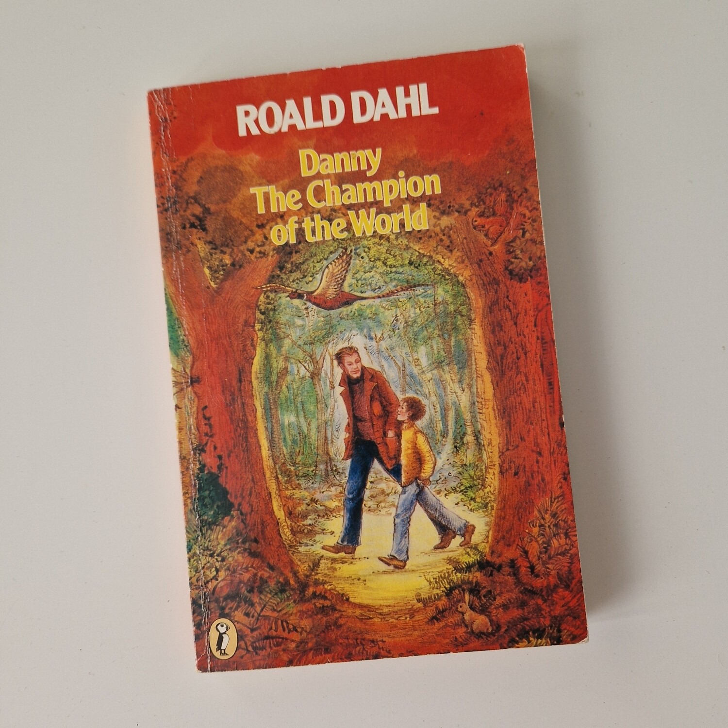 Danny the Champion of the World Roald Dahl Notebook - made from a paperback book