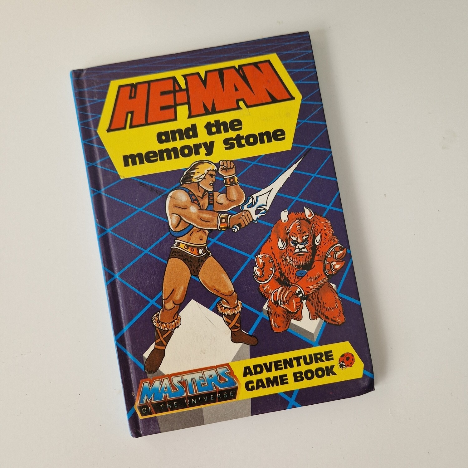 He-Man and the memory stone