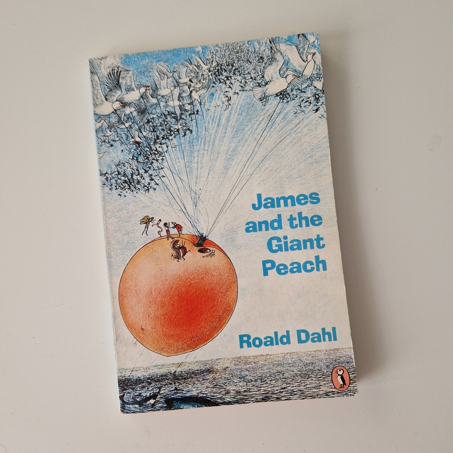 James and the Giant Peach Roald Dahl Notebook - made from a paperback book