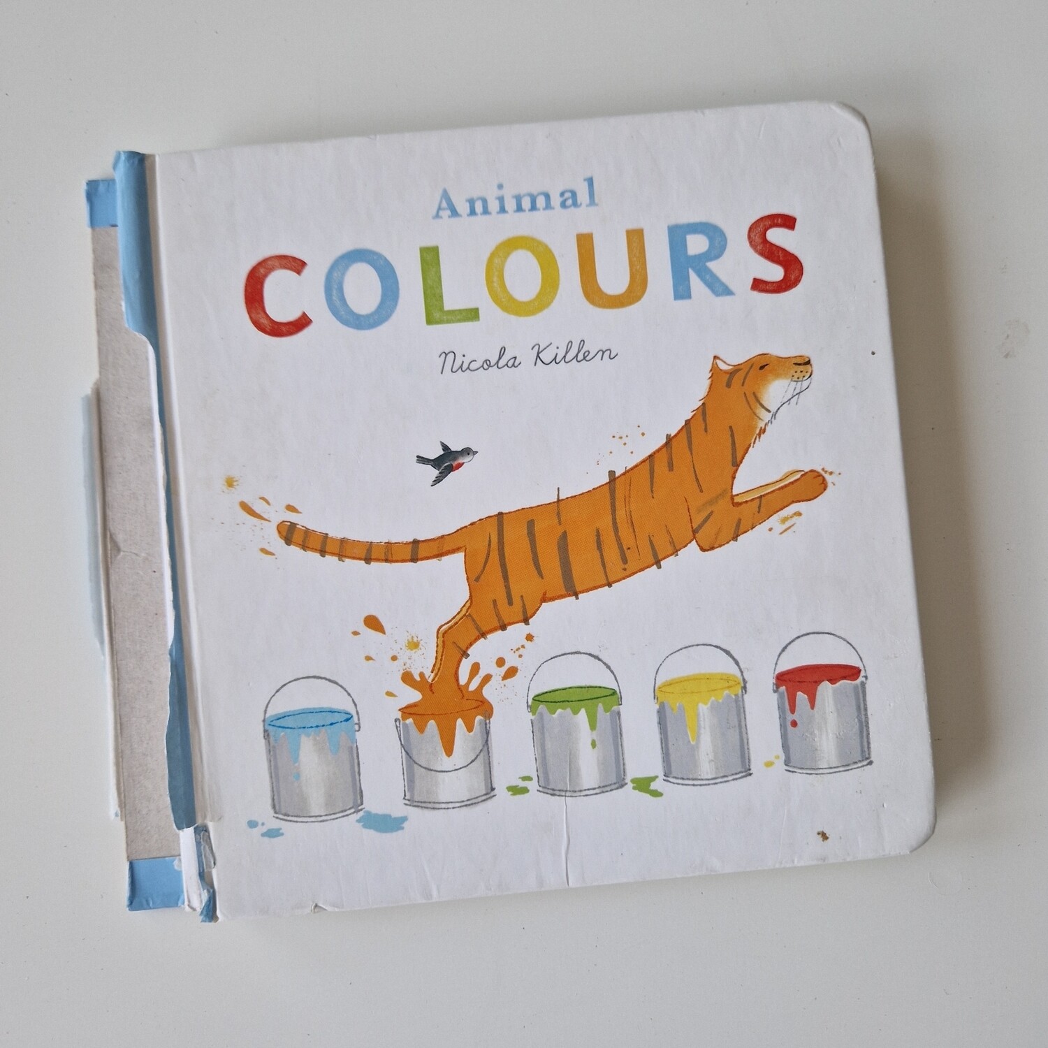 Animal Colours Notebook