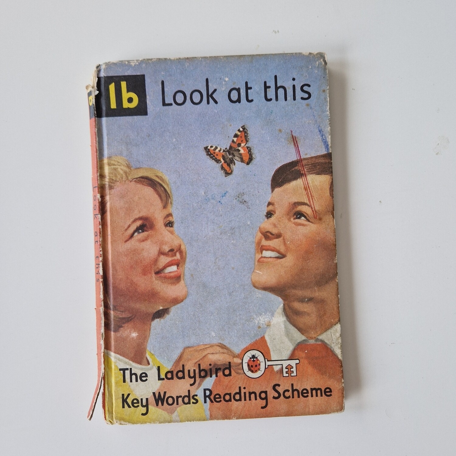 Look at This - Peter & Jane Notebook - Ladybird book