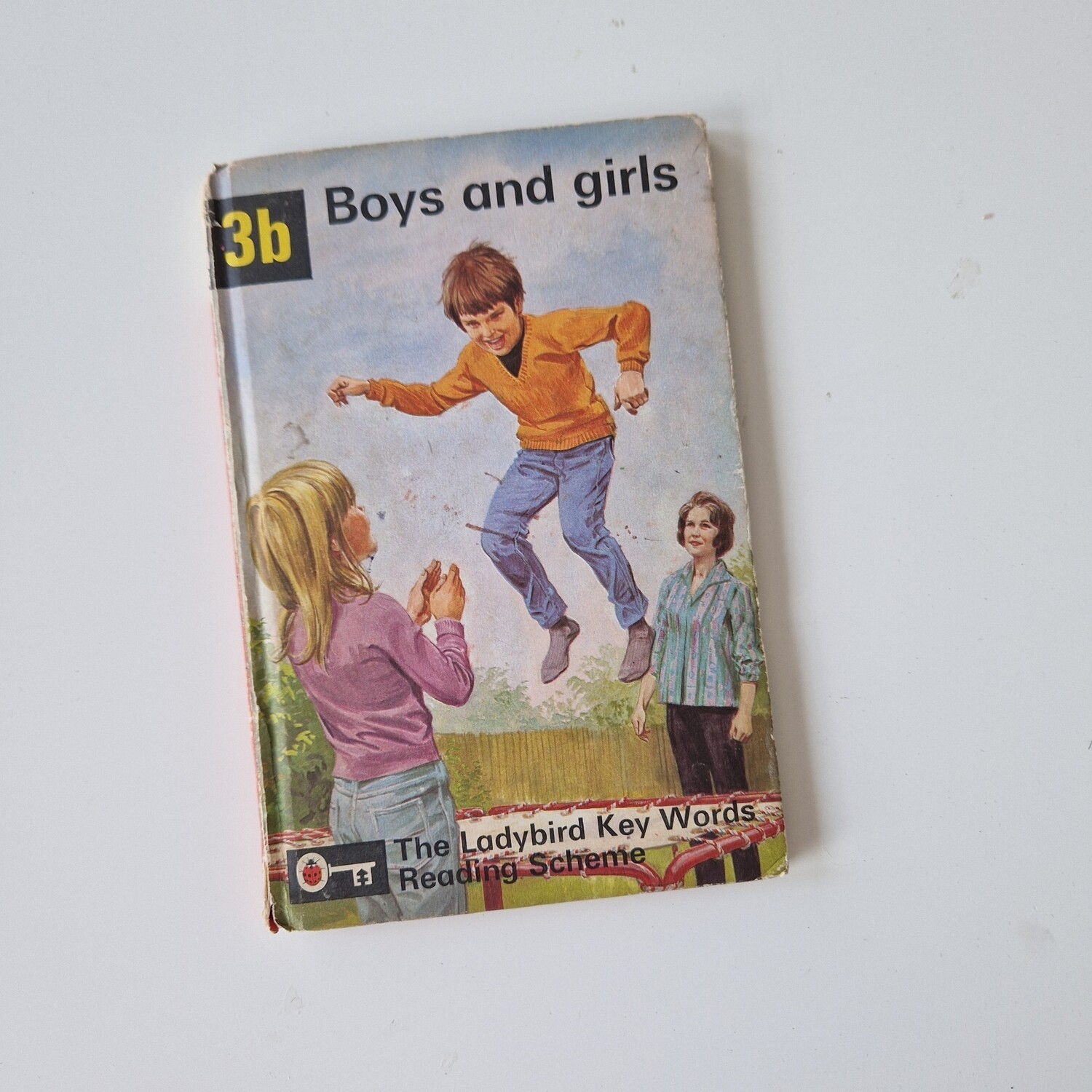 Boys and Girls - Peter & Jane Notebook - Ladybird book