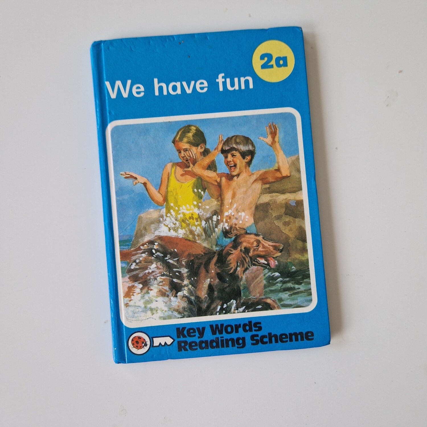 We have Fun - Peter & Jane Notebook - Ladybird book