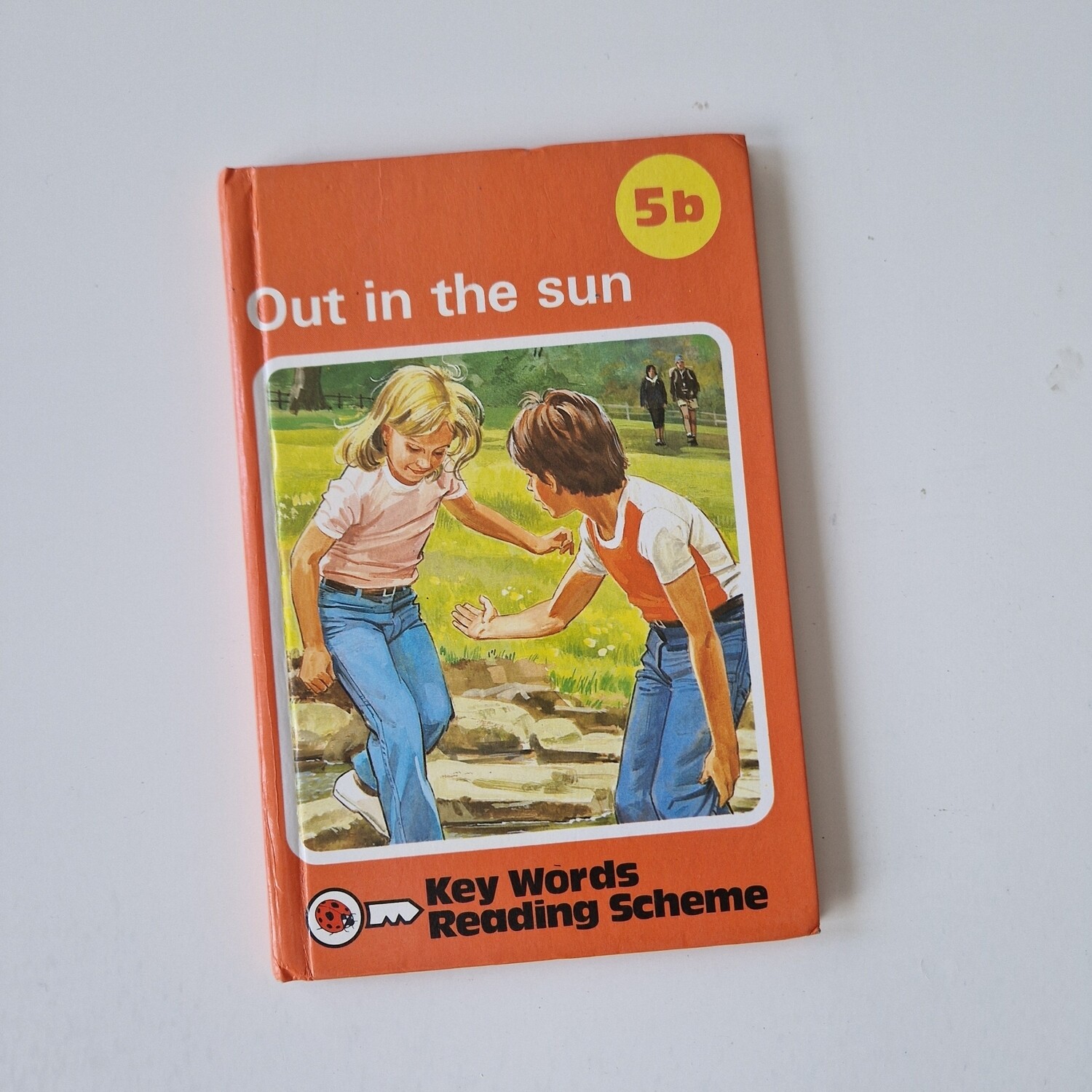 Out in the Sun - Peter & Jane Notebook - Ladybird book