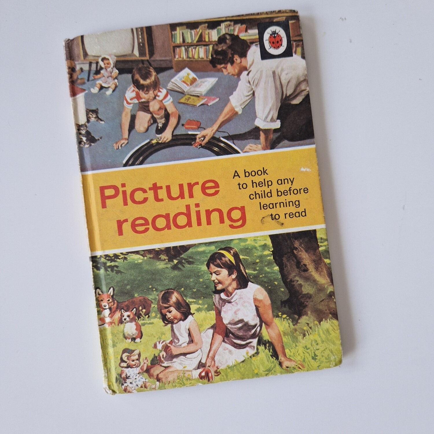 Picture Reading Notebook - Ladybird book