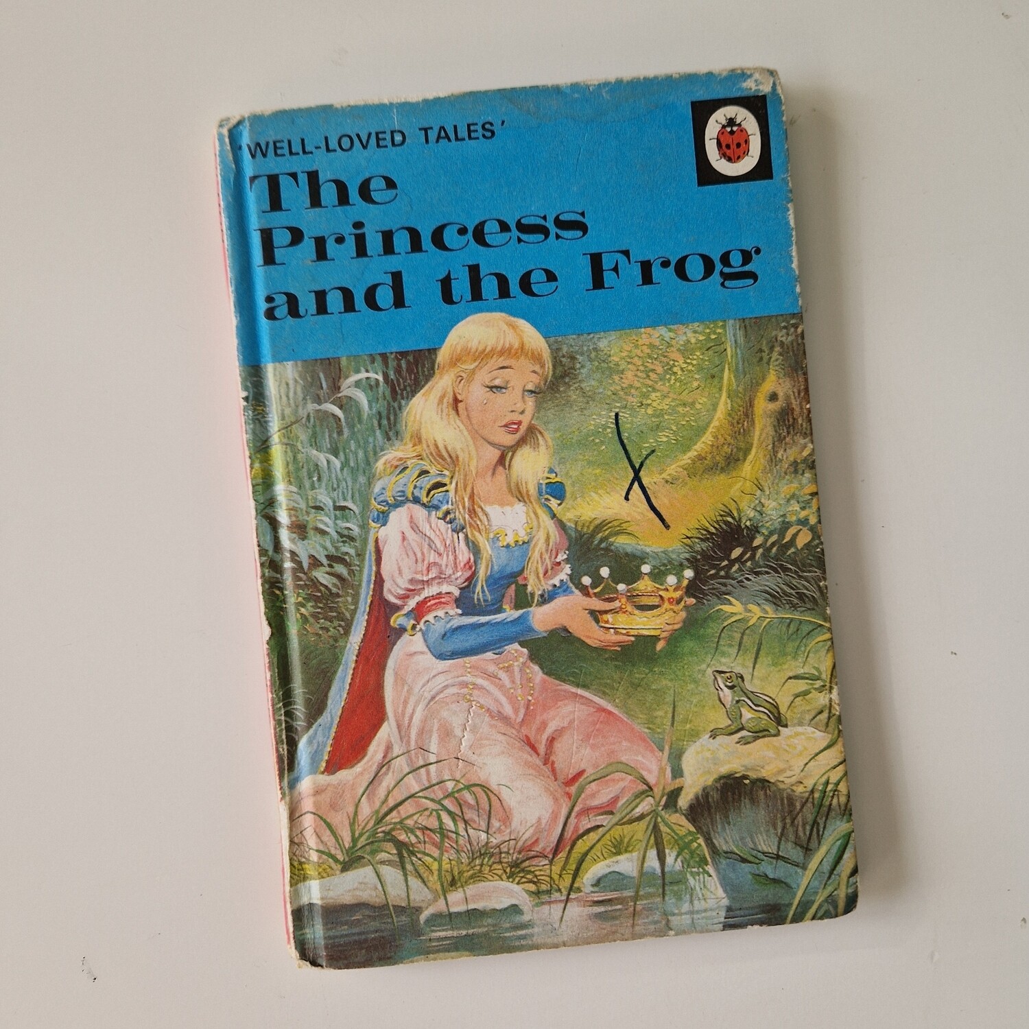 The Princess and the Frog Notebook