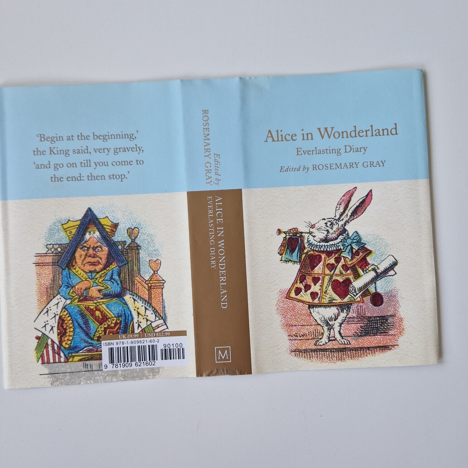 Alice in Wonderland Everlasting Diary - made from a dust jacket