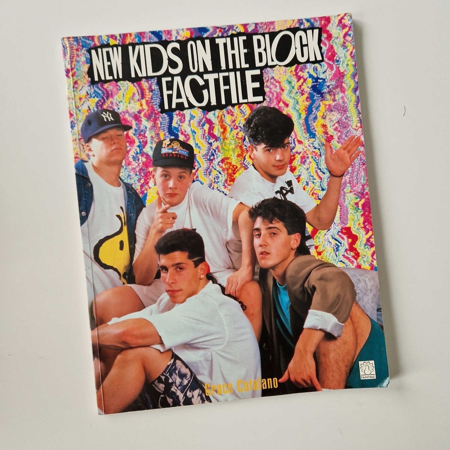 New Kids on the Block Notebook - made from a paperback book 1990