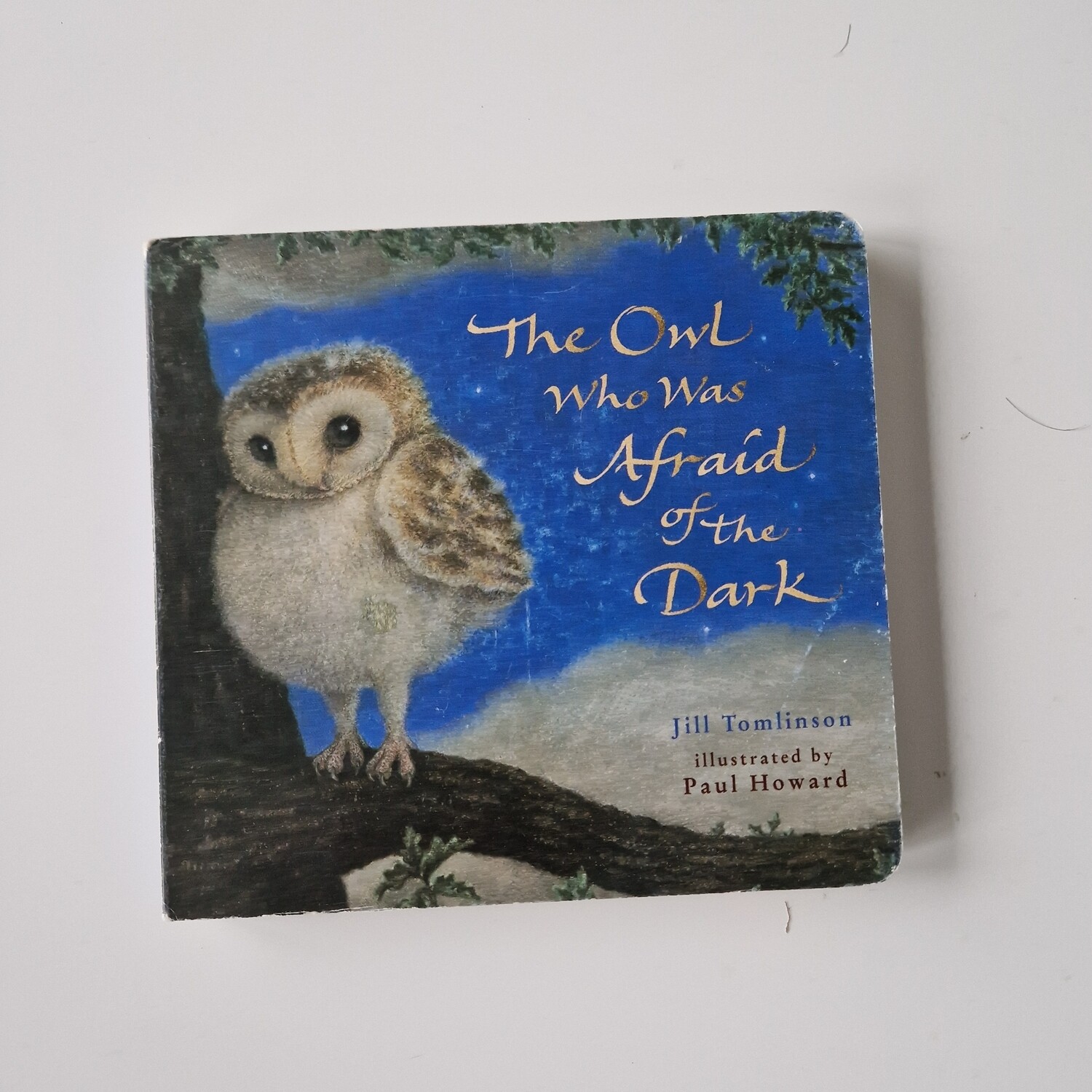 The Owl Who Was Afraid of the Dark board book