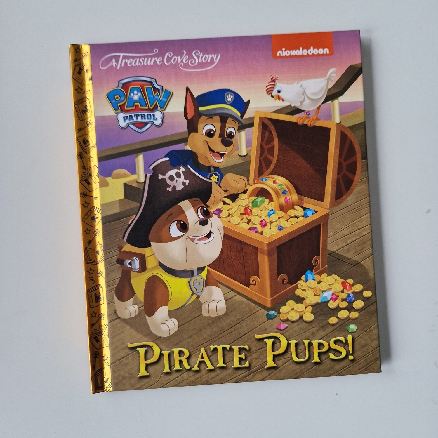 Paw Patrol Notebook - Pirate Pups