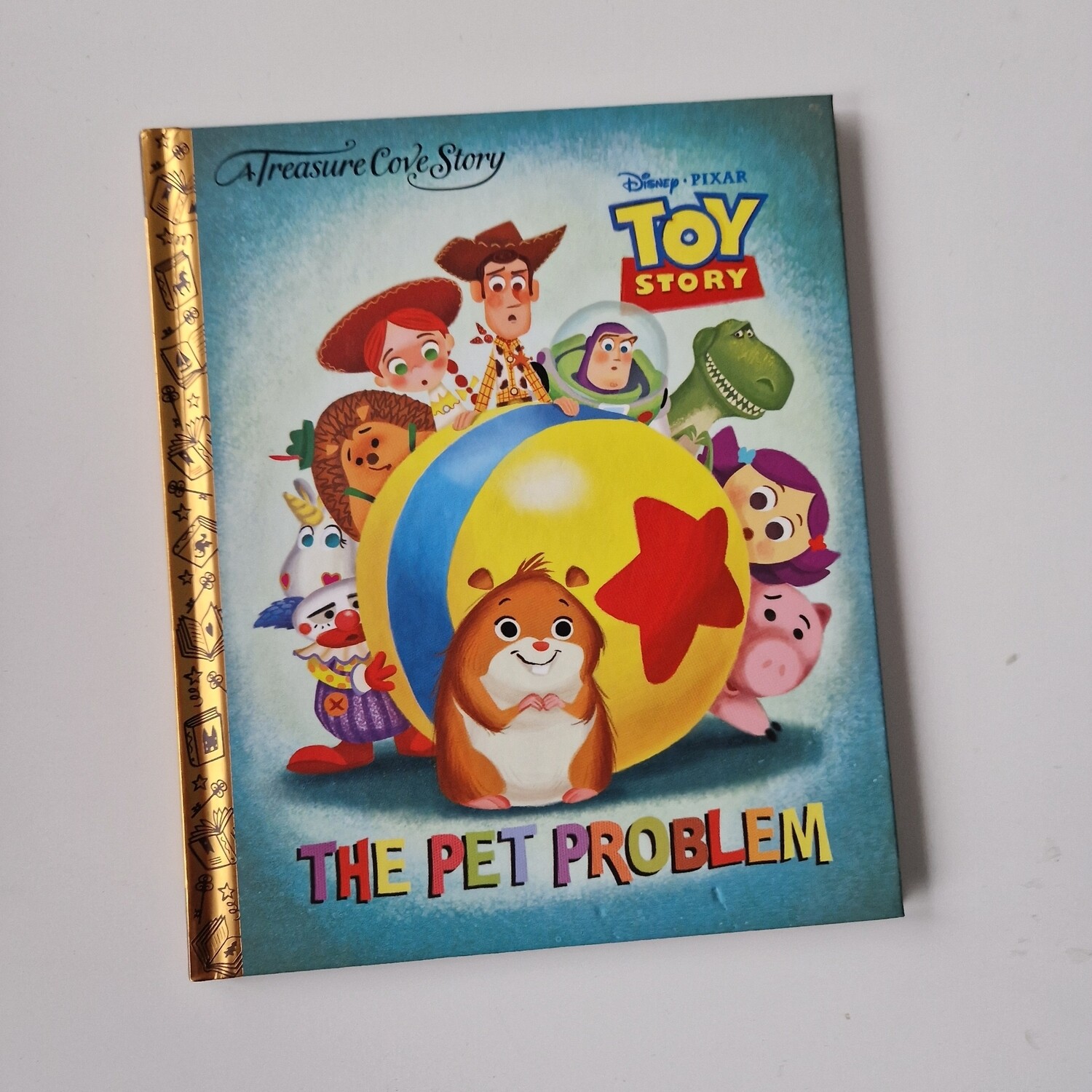 Toy Story Pet Problem Notebook