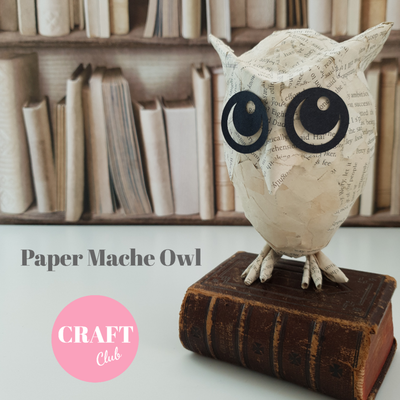 Paper Mache Owl Craft Kit made from Harry Potter Book Paper