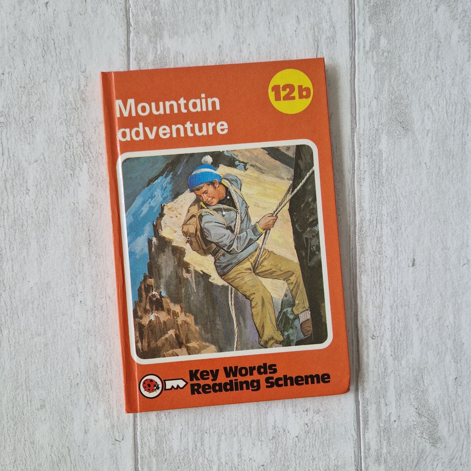 Mountain Adventure - Ladybird Book