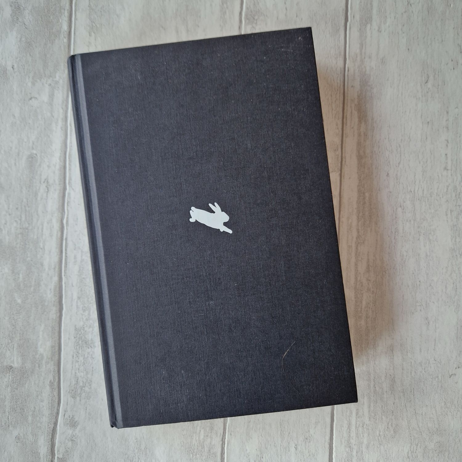 The Rabbit Hutch - Tess Gunty - white rabbit