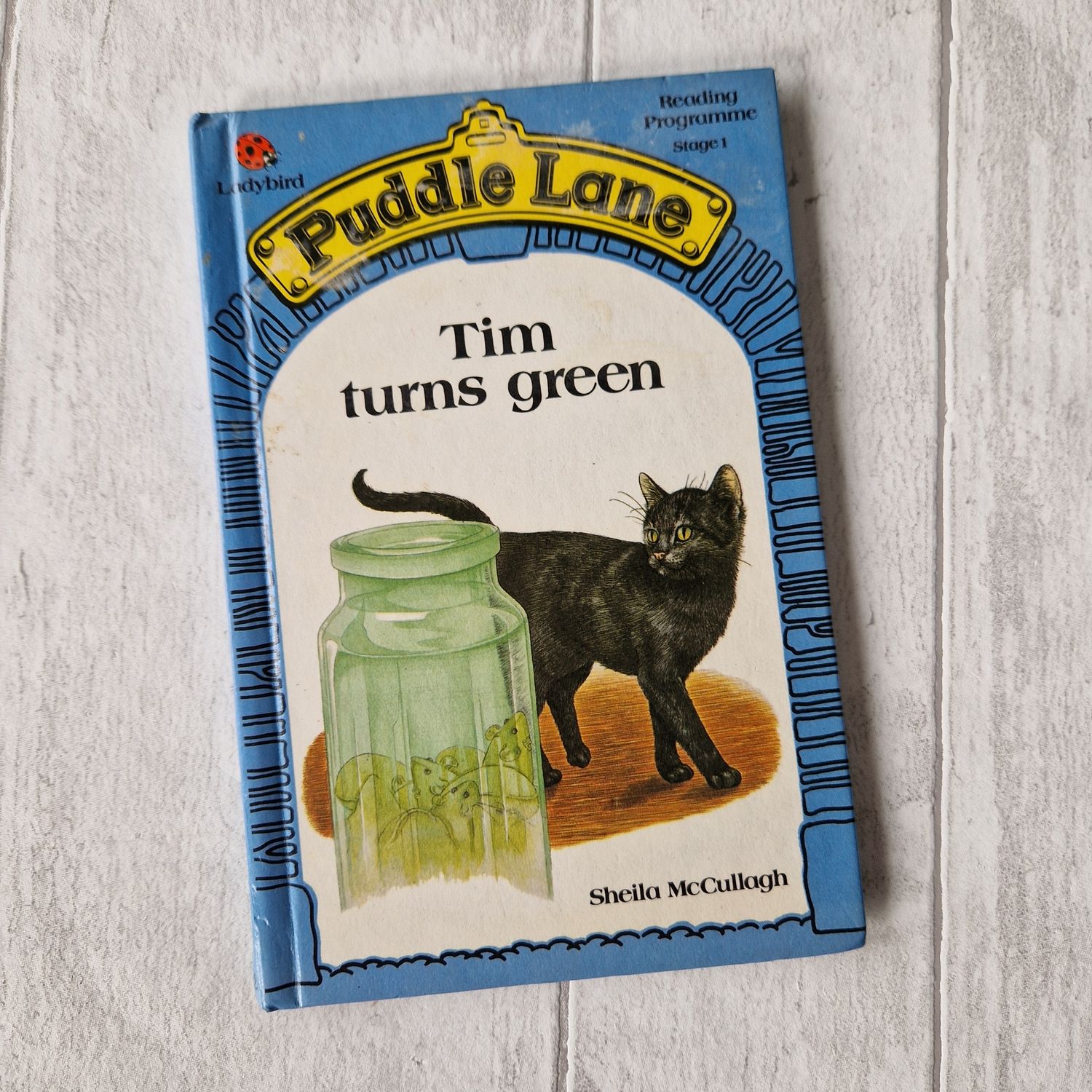 Puddle Lane Ladybird Book - choose from a selection, Book Style: Tim Turns Green