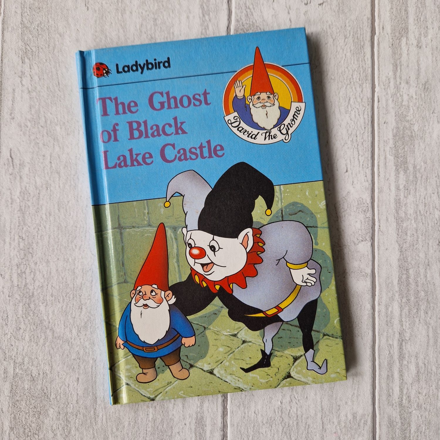 David the Gnome Ladybird Book - choose from a selection, Book Style: Ghost of the Black Lake Castle