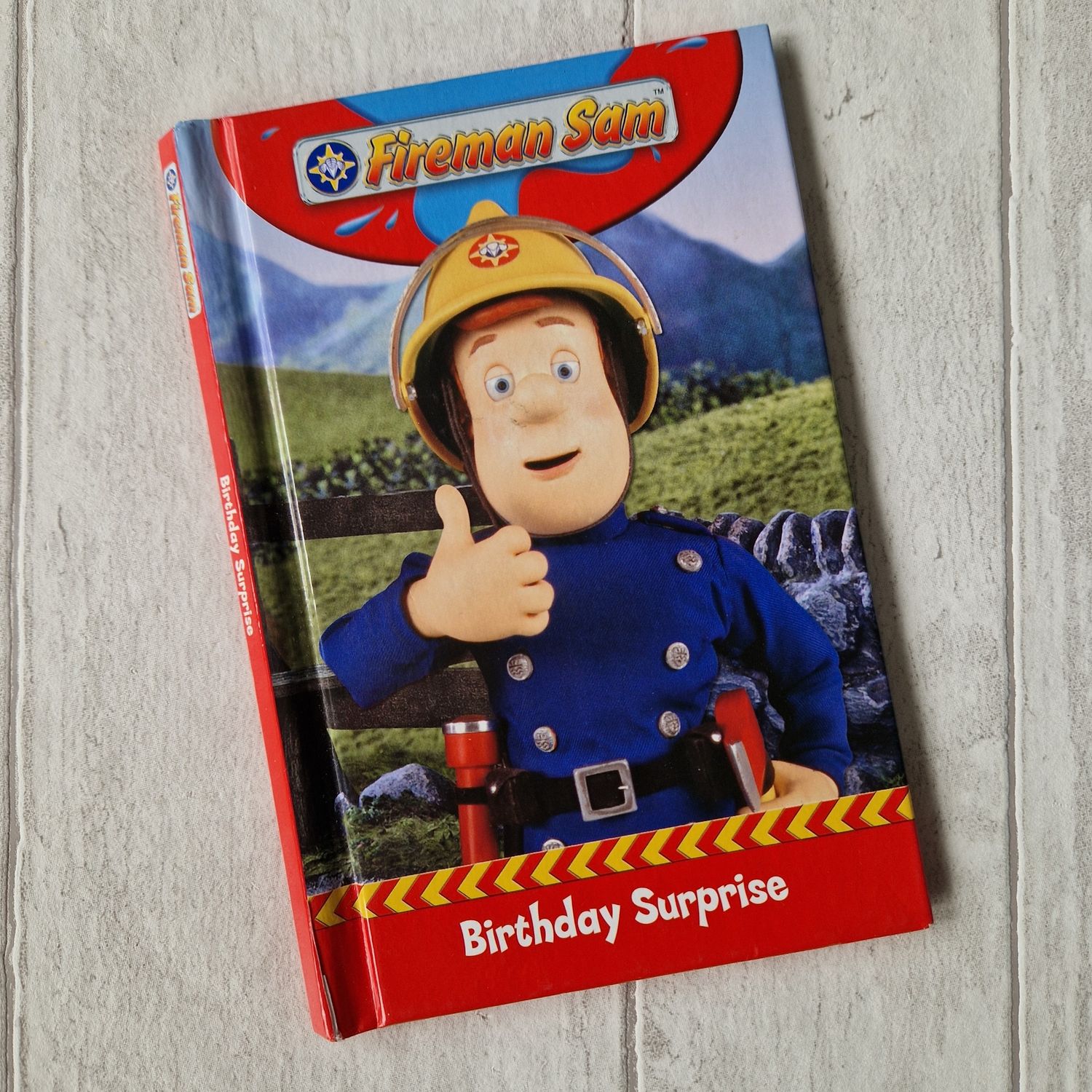 Fireman Sam Ladybird Book - choose from a selection, Book Style: Birthday Surprise