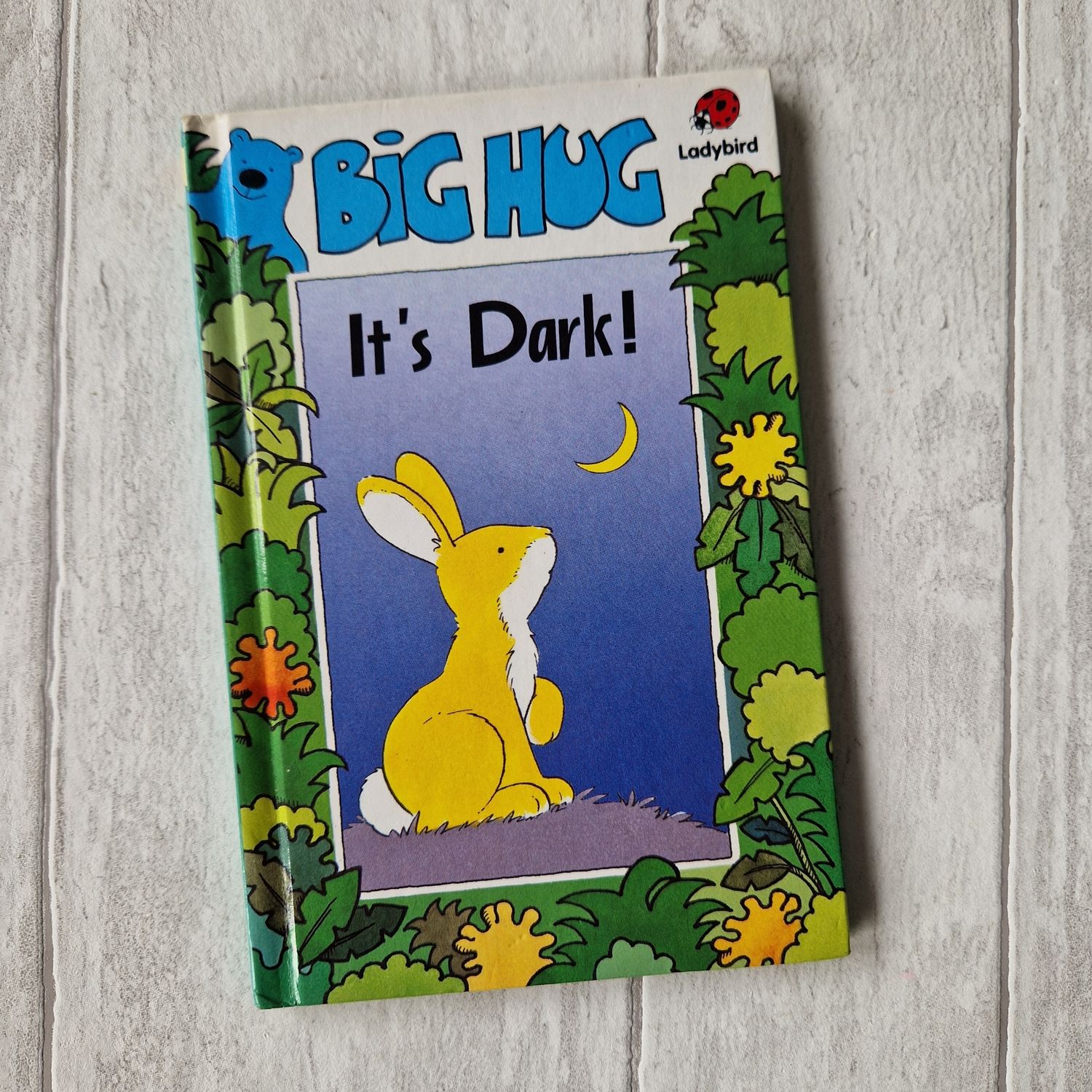 Big Hug - It&#39;s Dark Ladybird Book - bunny