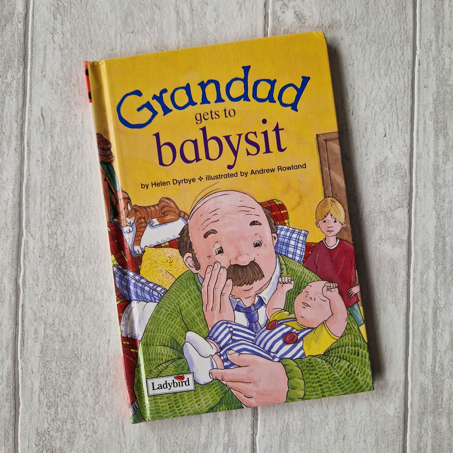 Grandad gets to Babysit Ladybird Book