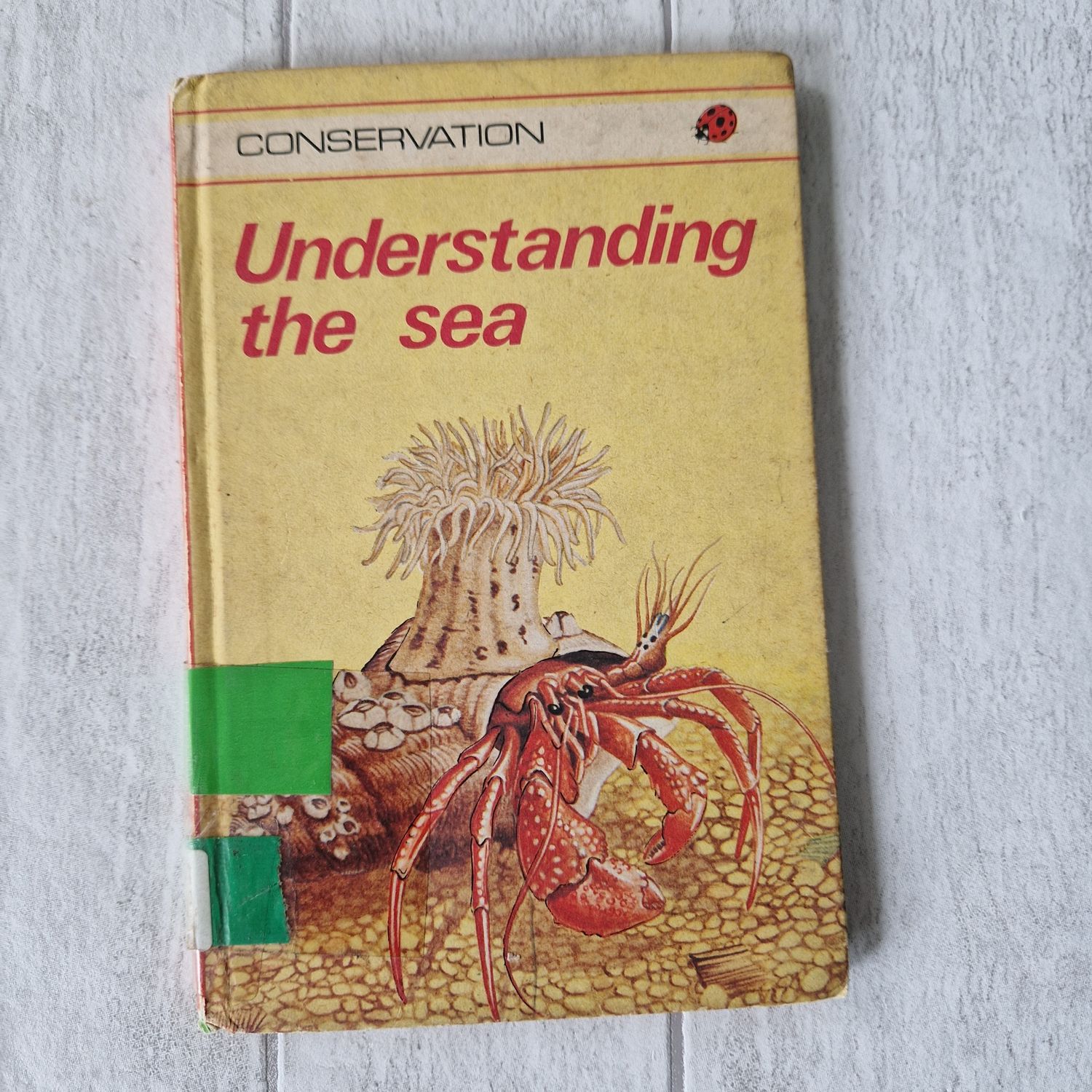 Understanding the Sea Ladybird Book