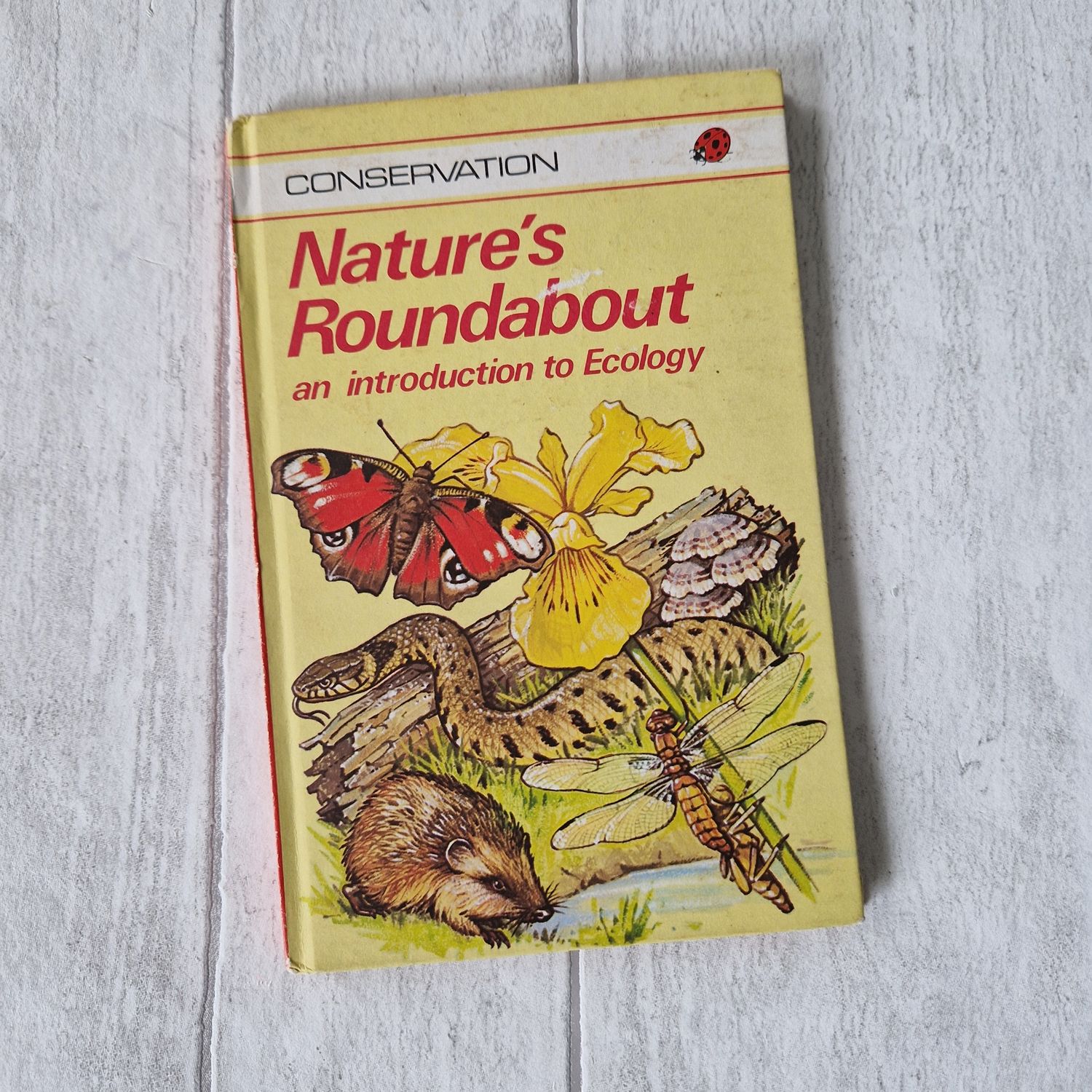 Natures Roundabout Ladybird Book Ecology butterfly