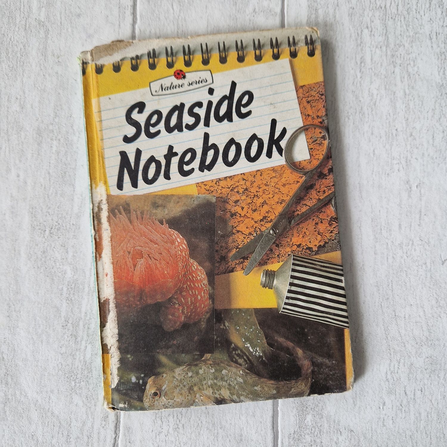 Seaside Notebook Ladybird Book